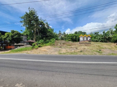 FB_IMG_1768445574750