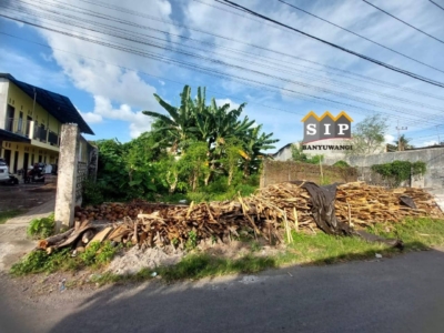 FB_IMG_1768470986567