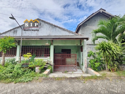 FB_IMG_1768472489472