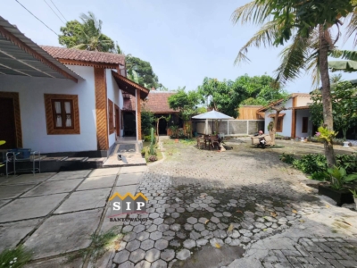 FB_IMG_1768483102012