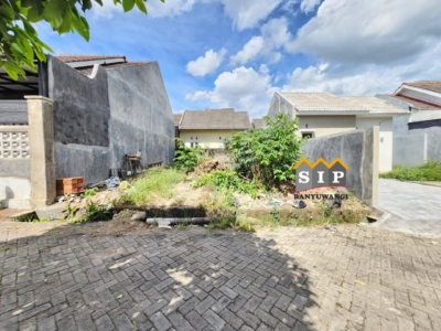 FB_IMG_1768784729102