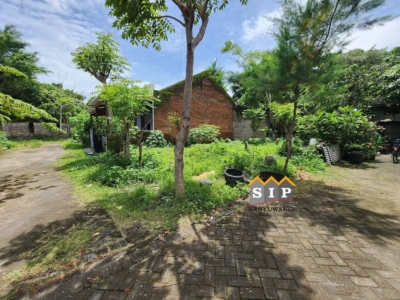 FB_IMG_1768880174762