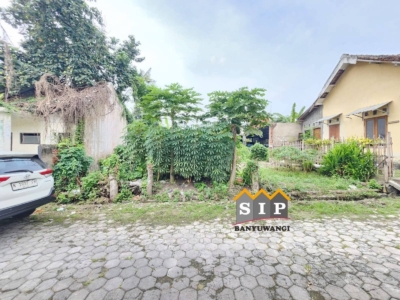 FB_IMG_1769424598191