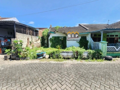 Messenger_creation_E8089297-8305-408D-A61D-5DFAABC1BB23