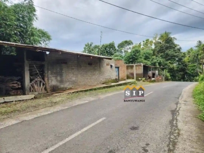 FB_IMG_1770357190110