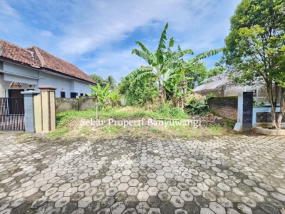 FB_IMG_1770881247046