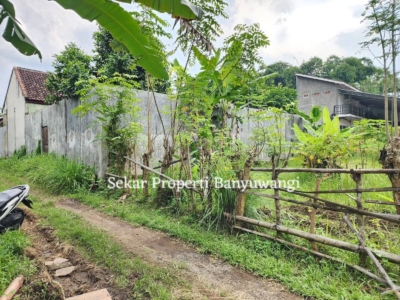 FB_IMG_1771387956429