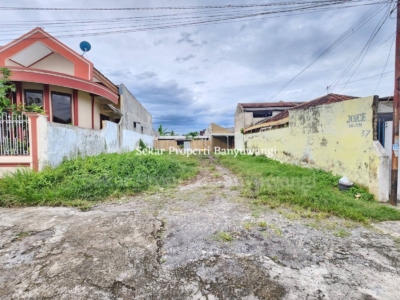 FB_IMG_1771388007915